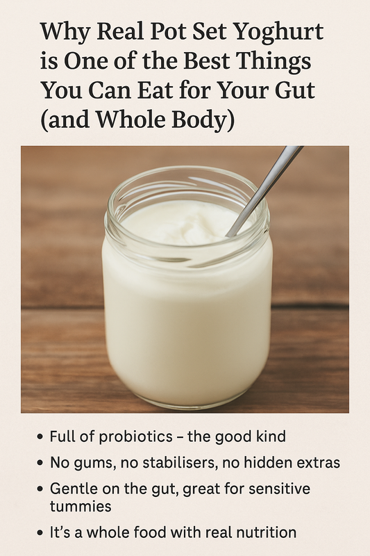 Why Real Pot Set Yoghurt is One of the Best Things You Can Eat for Your Gut (and Whole Body)